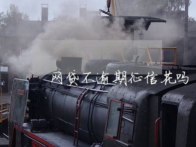 网贷不逾期征信花吗 网贷不逾期征信花吗