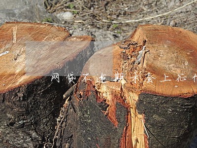 网贷不逾期才会上征信 网贷不逾期才会上征信