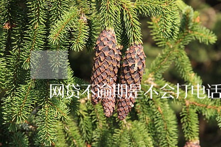 网贷不逾期是不会打电话的吧 网贷不逾期是不会打电话的吧