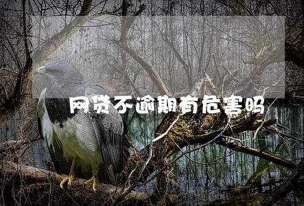 网贷不逾期有危害吗 网贷不逾期有危害吗