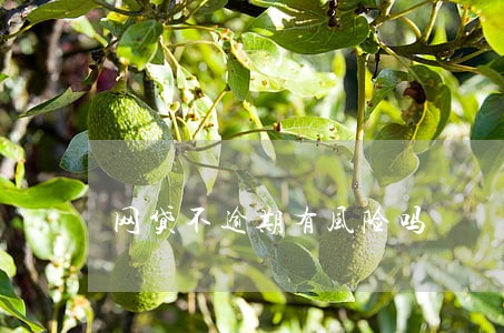 网贷不逾期有风险吗