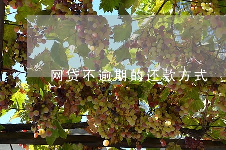 网贷不逾期的还款方式 网贷不逾期的还款方式
