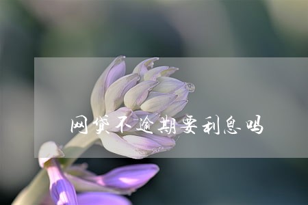 网贷不逾期要利息吗 网贷不逾期要利息吗