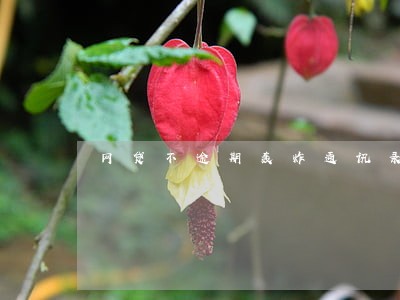 网贷不逾期轰炸通讯录怎么举报 网贷不逾期轰炸通讯录怎么举报