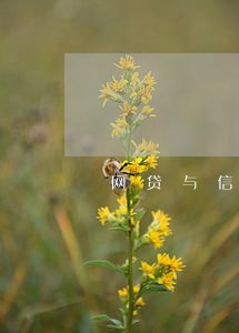 网贷与信用卡逾期了 网贷与信用卡逾期了