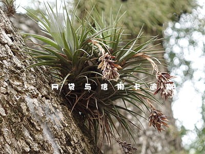 网贷与信用卡逾期区别
