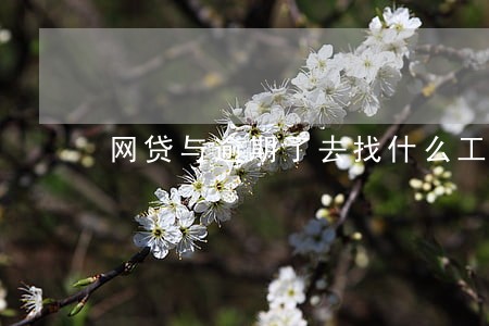网贷与逾期了去找什么工作 网贷与逾期了去找什么工作