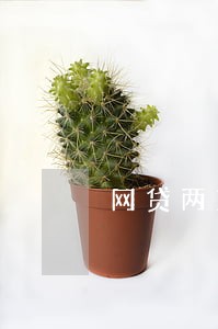 网贷两万五逾期一个月 网贷两万五逾期一个月
