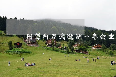 网贷两万块逾期一年会坐牢吗
