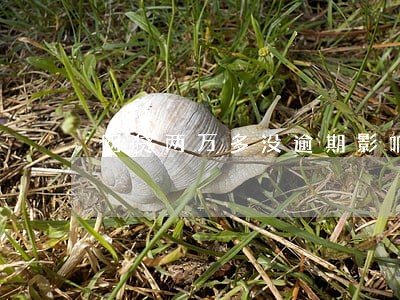 网贷两万多没逾期影响房贷吗 网贷两万多没逾期影响房贷吗