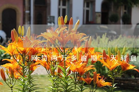 网贷两万多逾期一天利息 网贷两万多逾期一天利息