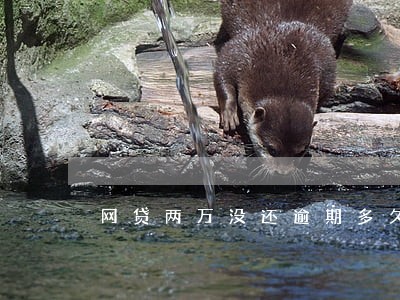 网贷两万没还逾期多久会起诉 网贷两万没还逾期多久会起诉
