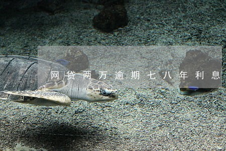 网贷两万逾期七八年利息多少 网贷两万逾期七八年利息多少