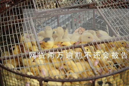 网贷两万逾期不还会被告吗 网贷两万逾期不还会被告吗