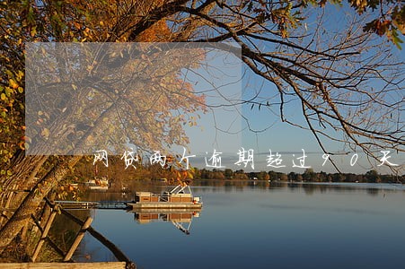 网贷两个逾期超过90天 网贷两个逾期超过90天