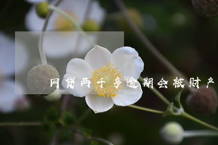 网贷两千多逾期会被财产保全吗 网贷两千多逾期会被财产保全吗