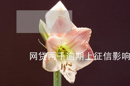 网贷两千逾期上征信影响贷款吗 网贷两千逾期上征信影响贷款吗