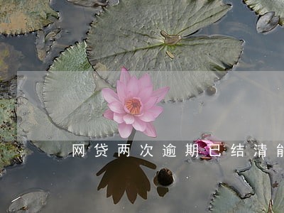 网贷两次逾期已结清能信用贷吗 网贷两次逾期已结清能信用贷吗