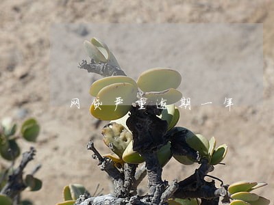 网贷严重逾期一年 网贷严重逾期一年
