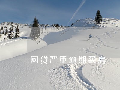 网贷严重逾期买房