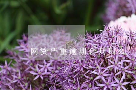 网贷严重逾期会判刑么 网贷严重逾期会判刑么