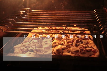 网贷严重逾期会司法拘留 网贷严重逾期会司法拘留