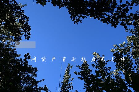 网贷严重逾期后果怎样 网贷严重逾期后果怎样