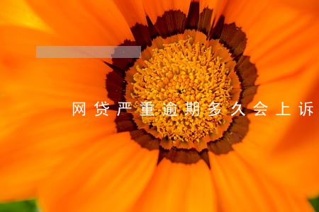 网贷严重逾期多久会上诉 网贷严重逾期多久会上诉