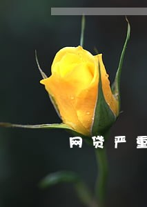 网贷严重逾期多久后可以再借 网贷严重逾期多久后可以再借