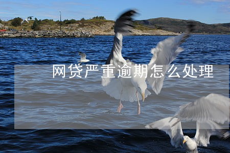 网贷严重逾期怎么处理 网贷严重逾期怎么处理