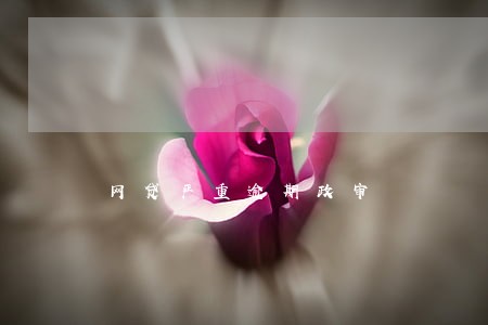 网贷严重逾期政审