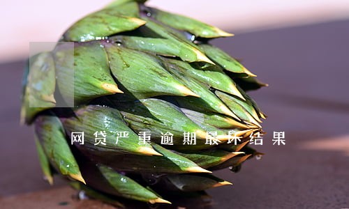 网贷严重逾期最坏结果