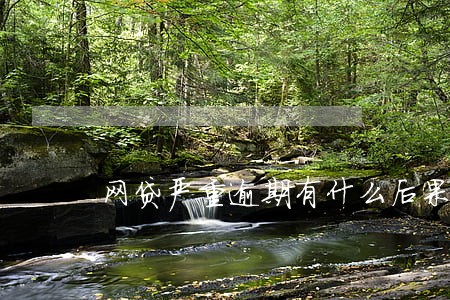 网贷严重逾期有什么后果 网贷严重逾期有什么后果