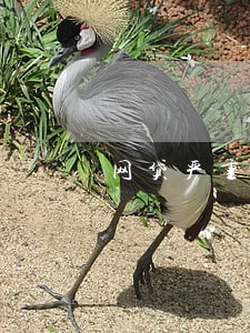 网贷严重逾期犯法吗 网贷严重逾期犯法吗