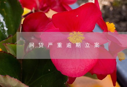 网贷严重逾期立案 网贷严重逾期立案