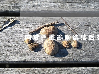 网贷严重逾期结清后多久可以 网贷严重逾期结清后多久可以