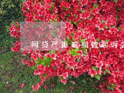 网贷严重逾期被起诉会有什么通知