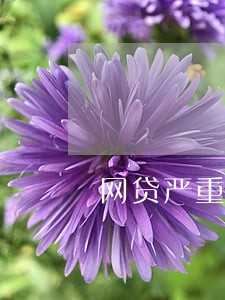 网贷严重逾期要向家里人坦白吗