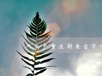 网贷严重逾期要坐牢吗 网贷严重逾期要坐牢吗
