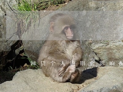 网贷个人逾期会影响配偶吗 网贷个人逾期会影响配偶吗