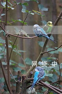网贷中介轰炸客人的通讯录违法吗 网贷中介轰炸客人的通讯录违法吗