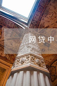 网贷中有没有逾期的 网贷中有没有逾期的