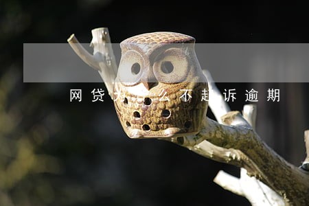网贷为什么不起诉逾期 网贷为什么不起诉逾期