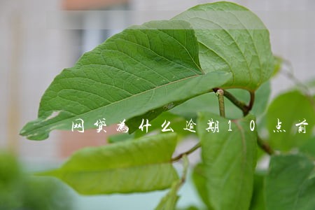 网贷为什么逾期10点前还款 网贷为什么逾期10点前还款