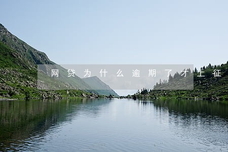 网贷为什么逾期了才上征信 网贷为什么逾期了才上征信