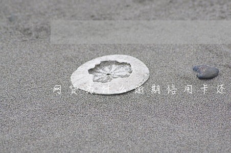 网贷为什么逾期信用卡还能用 网贷为什么逾期信用卡还能用