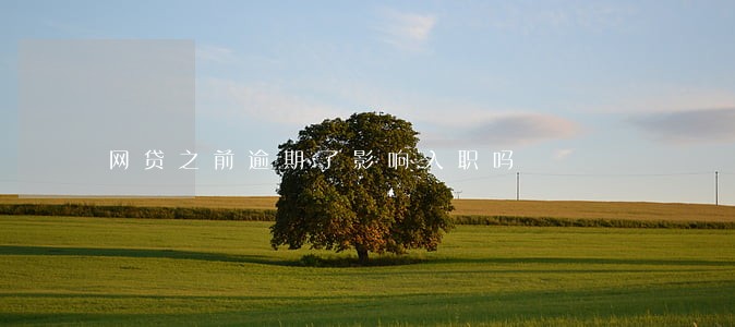 网贷之前逾期了影响入职吗 网贷之前逾期了影响入职吗