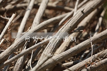网贷之要不逾期 网贷之要不逾期