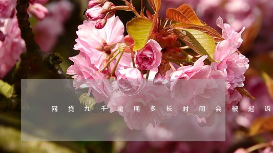 网贷九千逾期多长时间会被起诉 网贷九千逾期多长时间会被起诉