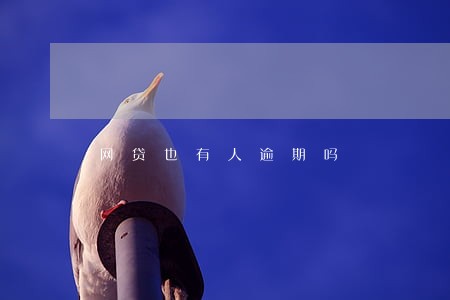 网贷也有人逾期吗 网贷也有人逾期吗
